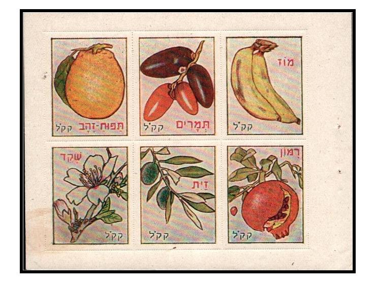 JNF, Poland – 1934 “Fruits of Eretz Israel” Booklet Pane. Complete pane from the booklet, catalog Rochlitz Po215–Po220, print