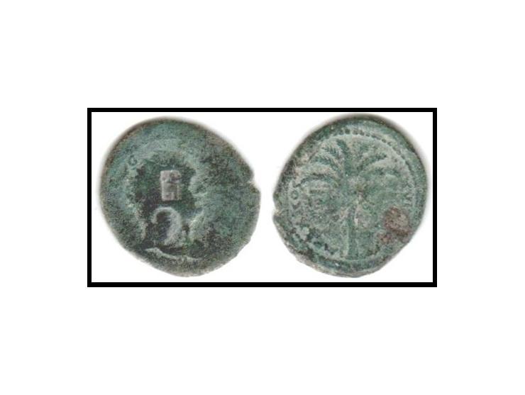 THE JUDAEA CAPTA coins STRUCK 92/93 CE.&nbsp;1458. ΑΕ 26-28 mm. 154.33g.Obv: IMP CAES DOMIT AVG GERM PM TRP XI; radiate head 