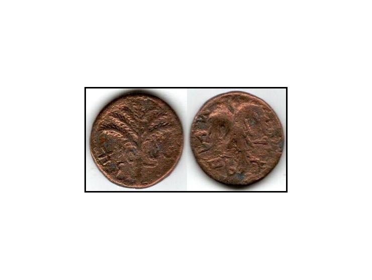 Judaea, Bar Kokhba Revolt. Æ Medium Bronze (10.08 g. 24mm), 132-135 CE. Year 2 (133/4 CE). ' Simon' (Paleo-Hebrew), seven-bra