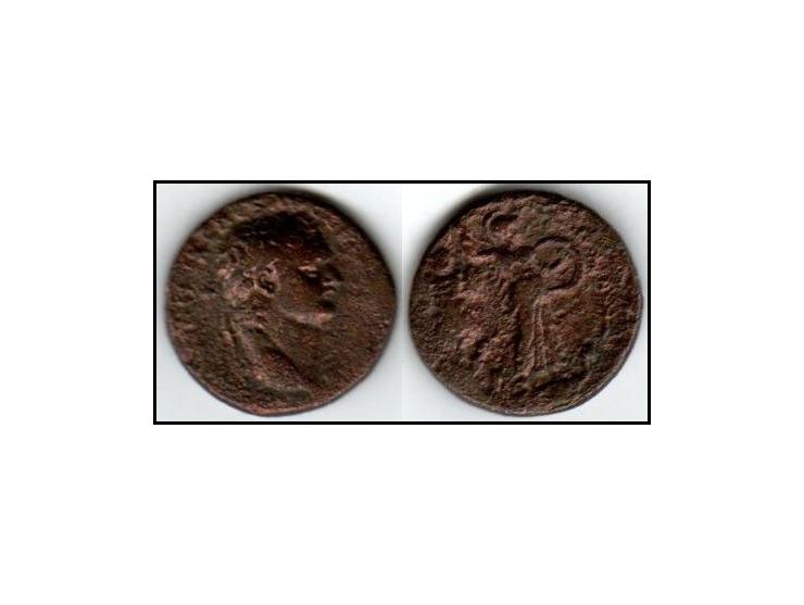 Judah Caesar Domitian (Domitian) 81-96 AD. "Judas the Captive" from the Caesarea Maritima mint. Minted in Israel around 83 AD
