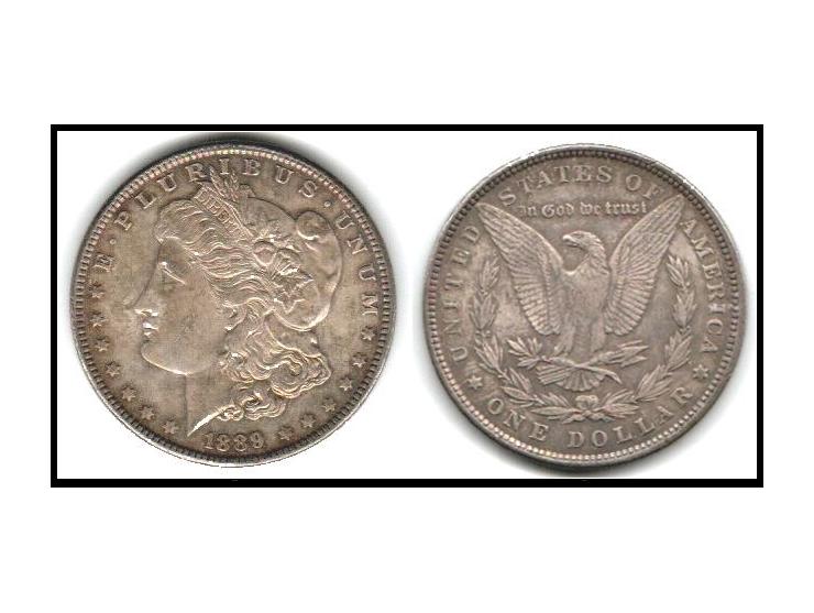 1889 KM # 110 $1 Liberty Silver Dollar Nice patina Original VF