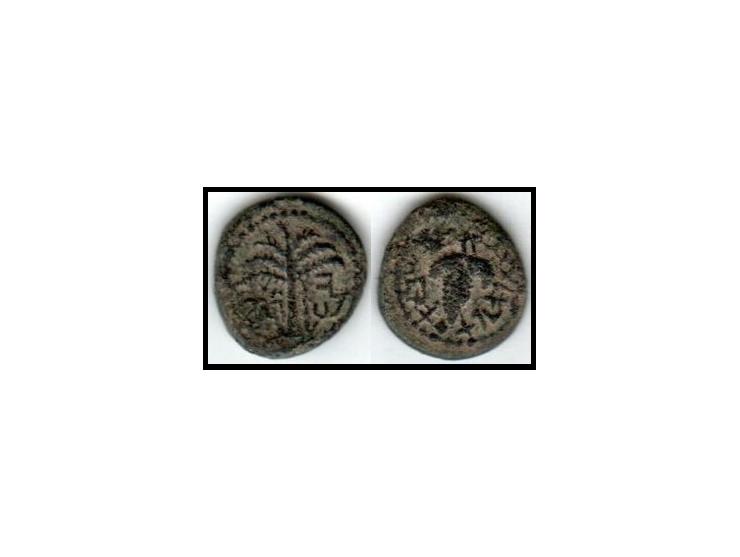 Judaea, Bar Kokhba Revolt. Æ Small Bronze (5.15 g), 132-135 CE. Year 1 (132/3 CE). ' Jerusalem' (Paleo-Hebrew), palm tree wit